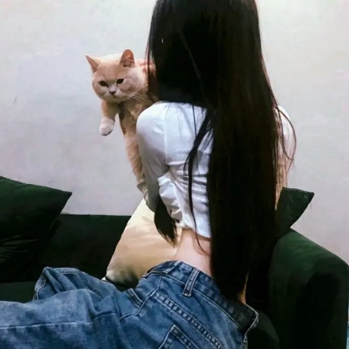 猫和老鼠2014第三季