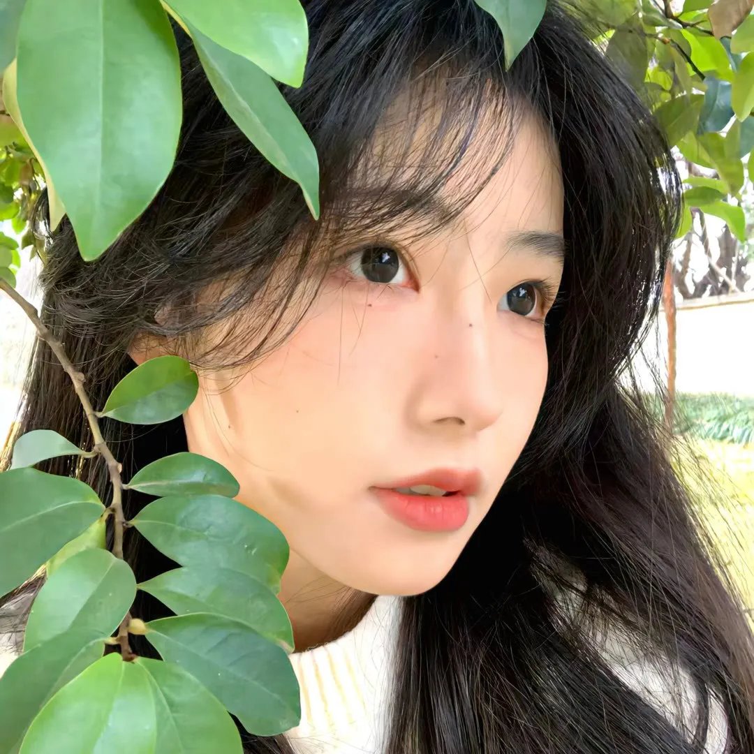 边境音暴